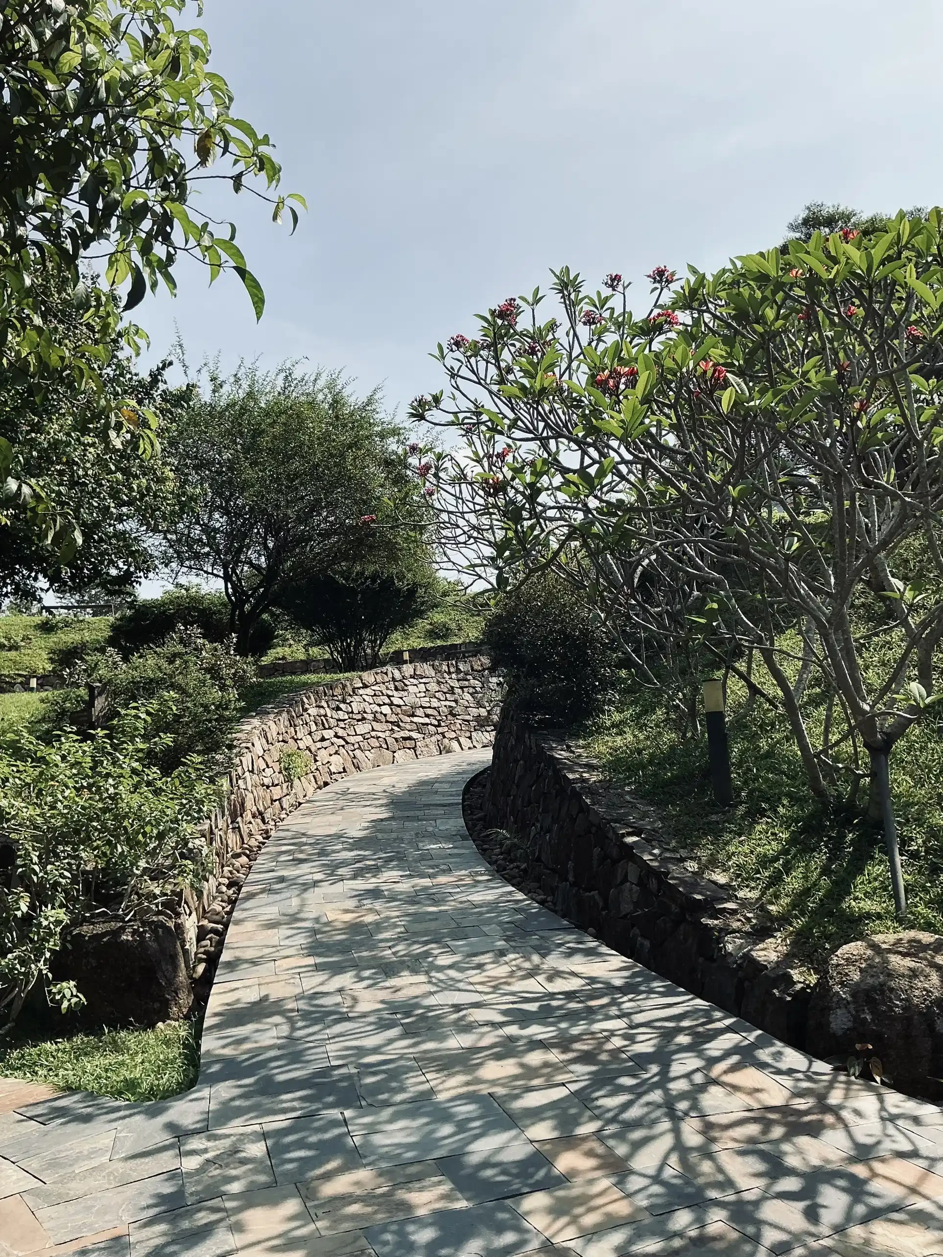 Khám Phá Không Gian Lưu Trữ Kí Ức về Hoạ sĩ Lê Bá Đảng - Le Ba Dang ...